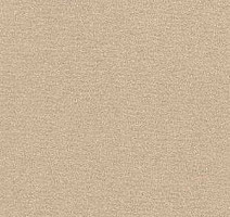 Ковролин Radici Nexus Panna 8201 фото 1 | FLOORDEALER